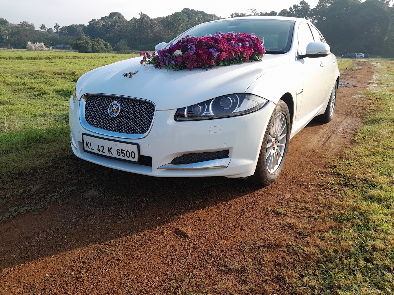 WEDDING CAR RENTAL KOTTAYAM Gallery 4